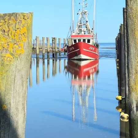 Windstaerke 1 * Dorumer Neufeld